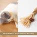 Tuibeidamai Matatabi Catnip Sticks Set - 4pcs Cat Teeth Cleaning Toys for Biting Chewing & Play - Buy Online on GoSupps.com