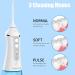 Portable Rechargeable Water Dental Flosser - 3 Modes, 6 Jet Tips, 300ML - Oral Care Irrigator - IPX7 Waterproof - White - Buy Online on GoSupps.com