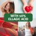 Pomegranate Extract 650mg-40% Ellagic Acid-180 Capsules-German Production-100% Vegan-No Additives-2 Months Supply - Buy Online on GoSupps.com