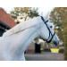 Buy Netproshop Leather Cavesson for Lunging - Black Size Pony to XFull | Perfect for Floor Work - Buy Online on GoSupps.com