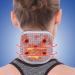 Heating Neck Wrap Magnetic Self- Heated Neck Wrap Neck Heating Pad Adjustable Neck Support Brace Cervical Collar with Self- Heating for Neck Brace Cervical Collar - Buy Online on GoSupps.com