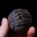Sciaza Klangkugeln Massage Ball - Solid Fitness Ball for Hand Training | Baoding Balls for Improved Strength & Relaxation - Buy Online on GoSupps.com