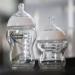 Tommee Tippee Closer to Nature Clear Glass Baby Bottle Starter Set 7 Count (Pack of 1) - Buy Online on GoSupps.com