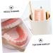 Shop Healvian 3 Sets Early Dental Education Toys - Wooden Denture Model for Kids | Reusable Toiletries - Buy Online on GoSupps.com