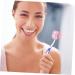 STOBAZA 5pcs Electric Toothbrush Caps - Travel Case Protection Covers - Assorted Colors - Compact Organizer for Toothbrush Heads - Buy Online on GoSupps.com