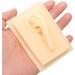 Human Ear Model - Comfortable Lightweight Soft Silicone for Teaching Demonstrations (Left) - International Shipping Available - Buy Online on GoSupps.com