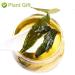 PlantGift Stevia Leaf 20G/0.7oz Herbal Tea Loose Leaf Sweet leaf Stevia - Buy Online on GoSupps.com