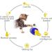 XIAOGO Cats Feather Toy - Interactive Moving Kitty Ball and Catnip Balls, Perfect Indoor Pet Supplies and Birthday Gift for Kittens - Buy Online on GoSupps.com