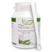 STEVIAGO Stevia powder (stevioside) extract from 100% stevia of which min. 97% Reb-A 50g with measuring spoon 50 g (1 pack)