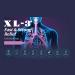 XL-3 Allergy 24 Hour Relief 2-Pack - 10 Tablets Each - 2 Boxes - Buy Online on GoSupps.com