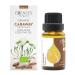 Essences Bulgaria Organic Caraway Essential Oil 15ml | Carum carvi | 100% Pure and Natural | Undiluted | Therapeutic Grade | Aromatherapy | Cosmetics | Cruelty Free | Non-GMO | Vegan