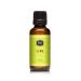 P&J Trading Fragrance Oil | Lime Oil 30ml - Candle Scents for Candle Making Freshie Scents Soap Making Supplies Diffuser Oil Scents