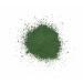 Premium Raw Vegan Spirulina Powder 250g - German Algae Superfood for Smoothies & Health | Pureeraw - Buy Online on GoSupps.com