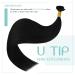 Buy Youngsee Extensions: Real Black Remy U Tip Hair Bondings - 35 cm 50g 1g Keratin - Buy Online on GoSupps.com