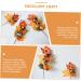 Zerodeko 10 Pcs Faux Maple Squash Autumn Faux Plant Plants Decor Maple Leaf Bouquet Artificial Fall Picks Fall Maple Leaf Halloween Decoration Halloween Party Silk Flower Household Leaves Orangex5pcs 22x22cmx5pcs - Buy Online on GoSupps.com