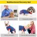 Vanansa Dog Surgery Recovery Suit for after Surgery Dog Recovery Suit Protect Puppy Wounds After Surgery for Male/Female Dog M Blue Blue M - Buy Online on GoSupps.com