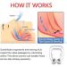 Clipple Anti Snoring Devices - Silicone Magnetic Stop Snoring Nose Clips (4 PCS) - Buy Online on GoSupps.com