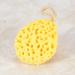 July Summer Gifts Sponge Bath Ball 4 Colors Beauty Soft Scrubber Ball for Body Shower Skin Washing Exfoliator (Yellow) - Buy Online on GoSupps.com