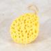 Buy Asixx Hydrophilic Polyurethane Shower Sponge | Soft & Heat Resistant Bathing Sponge in 3 Colors - Easy to Wash & Dry - Buy Online on GoSupps.com
