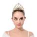 DcZeRong Gold Bridal Shower Tiaras for Bride To Be Bachelorette Party - Clear/Gold - Buy Online on GoSupps.com