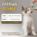 Kittygreen Sticks Kittygreen Cat Grass Teething Stick Cat Grass Chew Sticks for Hairball Removal and Cat Teeth Cleaning Natural Cat Grass Sticks Promotes Digestive & Increases Appetite (12PCS) - Buy Online on GoSupps.com