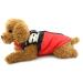 Waterproof Dog Jacket for Small Dogs | Smalllee Lucky Store Red Skull Coat for Chihuahua & Shih Tzu | Winter Pet Apparel - Buy Online on GoSupps.com