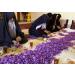 Saffron Crocus 25 Bulbs + Saffron Bulb Food | Crocus Sativus | Fast Shipping - Buy Online on GoSupps.com