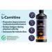Maxion L-Carnitine 1500mg with Vitamin B5 to Aid in Muscle Recovery After Exercise Orange Flavour 450 mL (1) - Buy Online on GoSupps.com