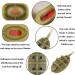 Kingrun Inline Fishing Feeder Set - 8 Pieces for Carp Fishing | 15g 25g 35g 30g 40g & 60g Accessories - Buy Online on GoSupps.com