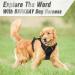 BARKBAY No Pull Dog Harness for Large Dogs - Reflective, Heavy Duty, Easy Control Handle - Chest Size 27-32 inches - Black - Buy Online on GoSupps.com