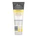 John Frieda Go Blonder Shampoo  Gradual Hair Lightening Shampoo  with citrus and chamomile  featuring our BlondMend Technology  8.3 Ounce (2 Pack) SHAMPOO 2 - Buy Online on GoSupps.com