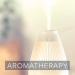 Naissance African Frankincense Essential Oil 100ml - 100% Pure Natural, Cruelty-Free, Vegan | Aromatherapy & Diffuser Use - Buy Online on GoSupps.com