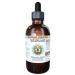 Ban Zhi Lian Alcohol-Free Liquid Extract Ban Zhi Lian Skullcap (Scutellaria Barbata) Herb Glycerite Hawaii Pharm Natural Herbal Supplement 2 oz 2 Fl Oz (Pack of 1)