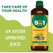 NN Vedic 9 in 1 Sugar Control Juice Sugar Level Balance Type 1 & 2 Glucose Regulator Insulin Management Neem Jamun Gudmar Diabetes Care Juice - 500ml - Buy Online on GoSupps.com