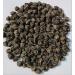 EasySeeds Moringa Seeds emillas de Moringa Drumstick Tree Moringa oleifera West Indian ben Wingless Seeds (750gm)
