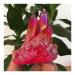 Natural Red Quartz Cluster Crystal Gem Stone Minerals Specimen Reiki Household yuebang ERBDRGAZ