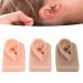 3Pcs Reusable Right Ear Silicone Model for Acupuncture Training - Buy Online on GoSupps.com