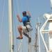 Lalizas Professional Bosun's Chair - Safety Seat for Extended Time Aloft - Buy Online on GoSupps.com
