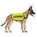 Dog vest with inscription "In Training Please DON'T APPROACH/ASK Before Petting Me" warning vest (Before Petting Medium) before stroking - M