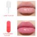 FRCOLOR 2pcs Lip Oil Plumper & Moisturizer - Natural Botanical Lip Balm & Gloss - Lip Enhancer with Plant Essence - Buy Online on GoSupps.com