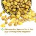 Chimonanthus Praecox Tea - Dried Winter Sweet Scented Tea 30g (1oz) - Premium Fragrance & Flavor - Buy Online on GoSupps.com