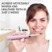 Dnsly Ultrasonic Toothbrush with 5 Modes and 8 Brush Heads - Sonic Cleaning and Whitening Toothbrush with Smart Timer and Travel Case - Rechargeable for 30 Days Use (Pink) - Buy Online on GoSupps.com