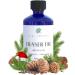Fraser FIR Aroma Oil for Diffusers - The Fresh Smell of Christmas Trees and The Holidays - Niche Blend of Siberian Fir Himalayan Cedar Essential Oils - Great for Plastic Trees (30 ml) Fraser Fir 1 Fl Oz (Pack of 1) - Buy Online on GoSupps.com
