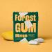 Buy Eco-Friendly Forest Gum Trial Set | 5 Vegan Flavors - Mint Eucalyptus Berry Cassis Mango | Plastic-Free Sugar-Free | 9 x 20g - Buy Online on GoSupps.com