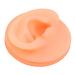 Ankroyu Silicone Ear Acupuncture Exercise Model - Reusable Left Ear Teaching Prop for Presentations - Buy Online on GoSupps.com