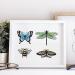 OLYCRAFT 2 Pcs 7.7x5.5 Inch Insect Self-Adhesive Silk Screen Printing Stencil Set - Bee, Butterfly, Dragonfly, Moth Mesh Transfer Stencil for Painting on Wood, T-Shirt, Fabric - Buy Online on GoSupps.com