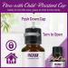 Now Foods Mental Focus Essential Oils - 30 ml | Enhance Concentration & Clarity | International Shipping Available - Buy Online on GoSupps.com