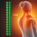 Green Spine & Back Massage Device | Vertebral Saliciner for Lower Back Pain Relief | Decompression & Pilates Equipment - Buy Online on GoSupps.com