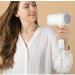 1800W Professional Hair Dryer with Air Nozzle Ionic Salon Powerful Hairdryer AC Motor Fast Blow Dryer with 3 Heat Cool Shot Long Cable Quiet Fast Drying Protect Hair for Men and Women Home and Salon - Buy Online on GoSupps.com