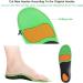 FonsBleaudy Orthotic Inserts with Arch Support - Shock Absorption Insoles for Plantar Fasciitis & Foot Pain - M Women 9-11 / Men 8.5-10 - Buy Online on GoSupps.com